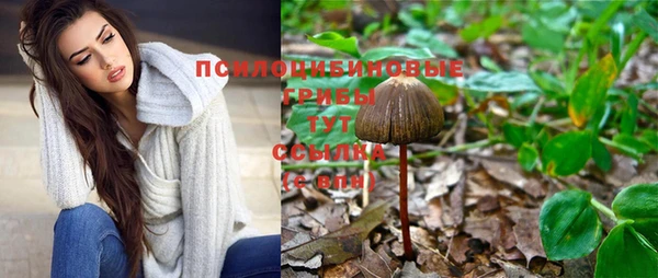 Альфа ПВП Балабаново
