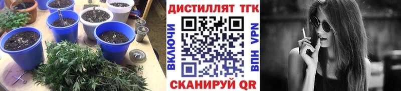где можно купить   Корсаков  OMG как войти  Дистиллят ТГК вейп 