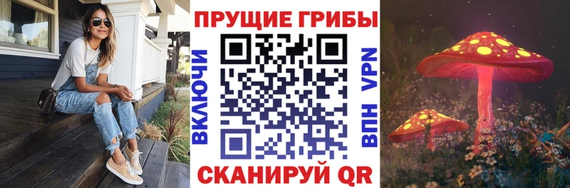 hydra зеркало  Корсаков  Галлюциногенные грибы прущие грибы 